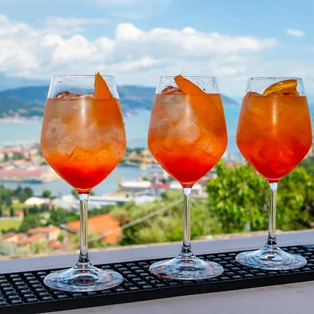 Villa Le Palme-Pool, Garden, Terrace & Sea View Villa